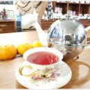 제주다와 이미지