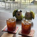 수원시 팔달구 화서문로16번길 | 수원 1박2일 힐링 여행🍧[행궁동 맛집, 행리단길, 수원 맛집, 수원 드립커피 맛집, 수원ak플라자, 수원...