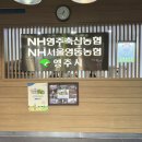 청계산 근처 맛집 영주축협한우프라자 갈비탕 추천