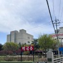 신흥제2경노당 | 춘천 맛집 신흥막국수 | 순메밀 막국수 감자전 내돈내산 솔직후기