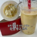 공차 만우절 신상 신메뉴 태국 망고밥 스티키 라이스 츄잉 망고 밀크 내돈내산 솔직후기