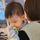 해사랑전복마을 | 남해 맛집 해사랑전복마을 에서 셀프 돌잔치 후기.