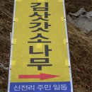 소나무 참나무 숲 이미지
