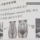 다온누리27 네이버블로그