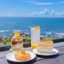 오크라리조트 | 제주도 동쪽 카페 추천 베스트 8 (성산 표선)