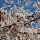 소곡보건진료소 이미지