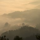 법률사무소일출 이미지