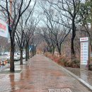 두류3동 이미지