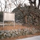 동화사(용수동) 이미지