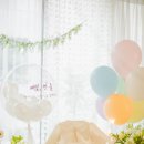 파트엘 | 일산 소규모 돌잔치 종합 후기 (아이고와스튜디오, 예나리스냅, 디어벨르 등)