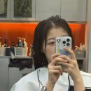 보그헤어샵 | 신도림 헤어샵 ‘보그헤어’ 손상모 클리닉 후기👍