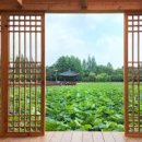 전주 여행지 추천 덕진공원 연화정 도서관 실내 가볼만한곳 볼거리 이미지