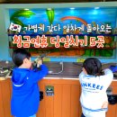"아이랑 괜히 갔네" 후회 없는 황금연휴 당일치기 5곳