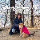 일산동고등학교 | 파주 등산 추천, 황룡산에서 강아지 산책