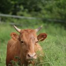 혁신에스에스 이미지