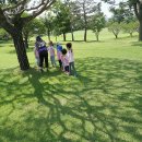 삼성골프장 이미지