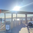 골프투어 | 아이들은 영어체험, 부모는 골프 — 뉴질랜드 골프투어 후기