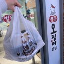 별동오징어