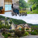 콩이네놀이터 | 충북 단양 계곡 펜션 감성 숙소 단양솔펜션 1박2일 가족여행