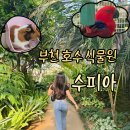 부천호수식물원 수피아 다녀온 후기 - 숲속의 요정이 되어버려🧚