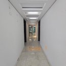 프리마 베라 이미지