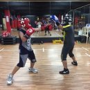 최고체육관 복싱클럽 이미지