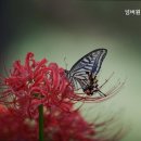 넘버원 스크린골프 이미지