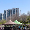 용산-이촌-215 이미지