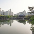 분당-304 이미지