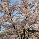 천조공인중개사사무소 이미지