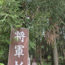 천공농장 이미지