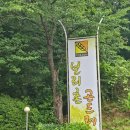 보리촌 | 과천 보리촌 곤드레 내돈내산 솔직후기 feat. 과천 한정식 추천, 과천 단체 식당 추천, 과천 곤드레밥...