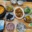 논빼미식당