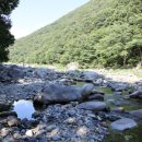 배내시티SA 이미지