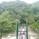 공작산생태숲 이미지