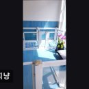 퍼피냥 이미지