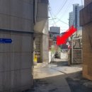 민주수경재배꽃집 이미지