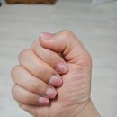 마이미네일 | 다이소 네일팁 내돈내산 후기 | 26Y투쿨포스툭리얼웨어네일팁24개입(라운드스퀘어#2) | 짧은 손톱 네일팁