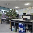 우리금강부동산공인중개사사무소 | 대저동부동산 부산 LBA금강공인중개사와 안심 거래