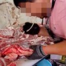 동부정육점 - 익산시 고봉로14길 3 | 동부정육점
