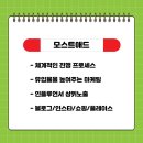모스트애드 이미지