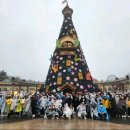 나산태권도장 네이버블로그