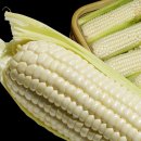 유옥농장 이미지