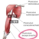 아지트피티 이미지