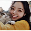 펫퍼스트 24시 강아지분양 고양이분양 이미지