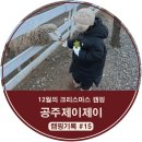 토리와캠핑기록#15. 12월의 크리스마스 캠핑 <공주제이제이>-3번 사이트