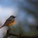 일중산업 이미지