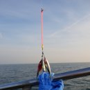 춘장대마트 이미지