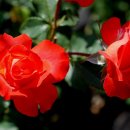 포항시북구4 이미지