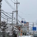 분식MON | 직장인 일상, 제주항공(국내선,국제선) 찜특가 후기, 신오쿠보(두쫀쿠 비교,맛집 산더미감자탕,시그니처...